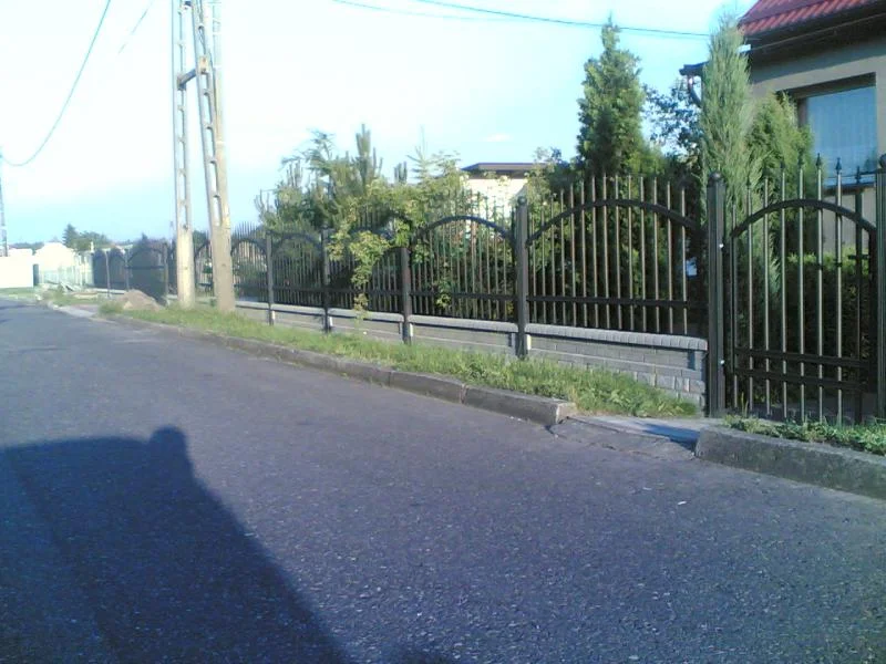 Zdjęcie z galerii