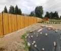 Zdjęcie z galerii