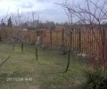 Zdjęcie z galerii