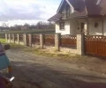 Zdjęcie z galerii