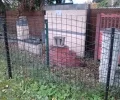 Zdjęcie z galerii