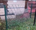 Zdjęcie z galerii