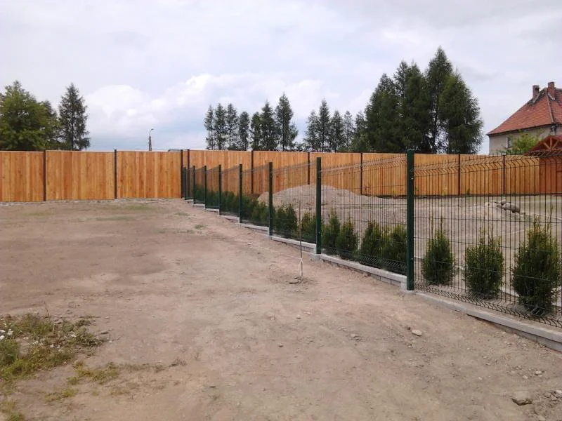 Zdjęcie z galerii