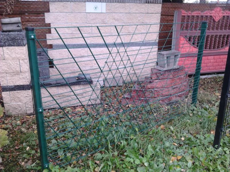 Zdjęcie z galerii
