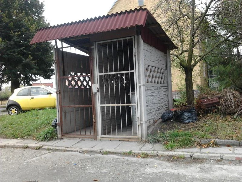 Zdjęcie z galerii